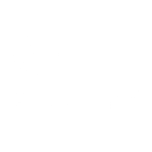Propaye Logo